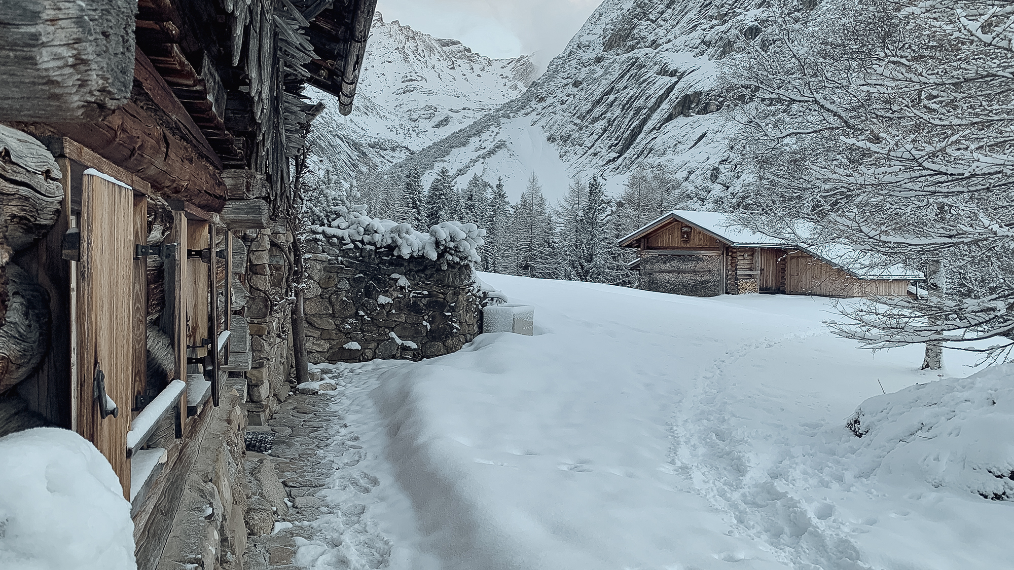 Boden Winter