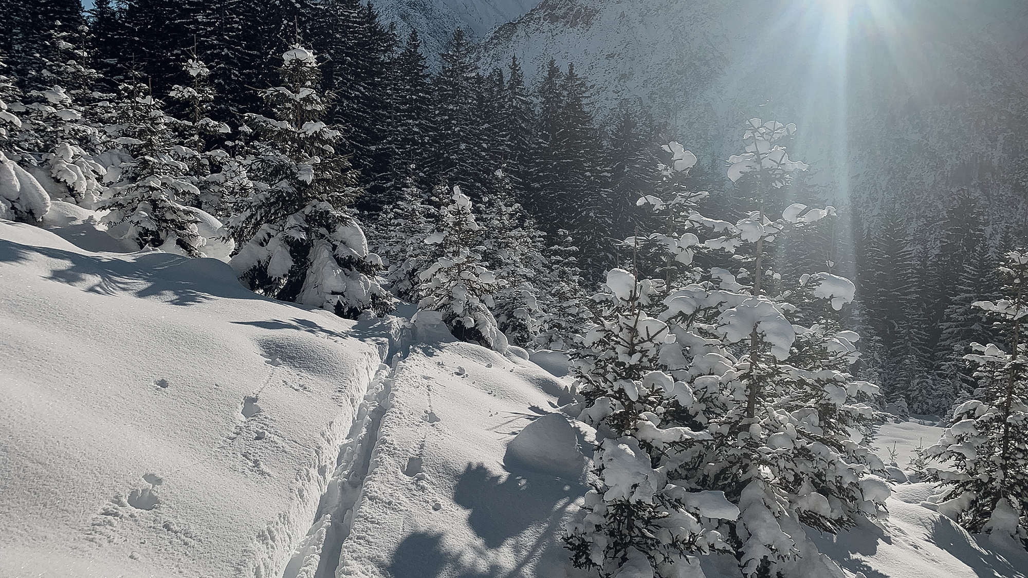 Hager Winter