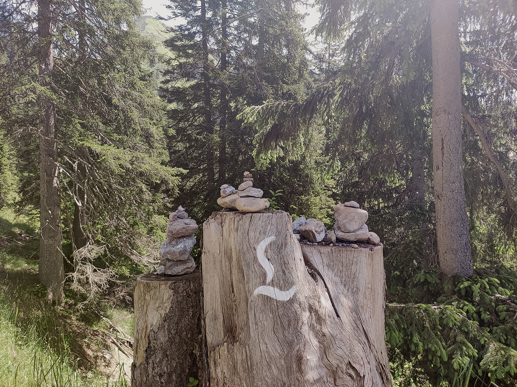 Lechweg Logo auf Baumstamm