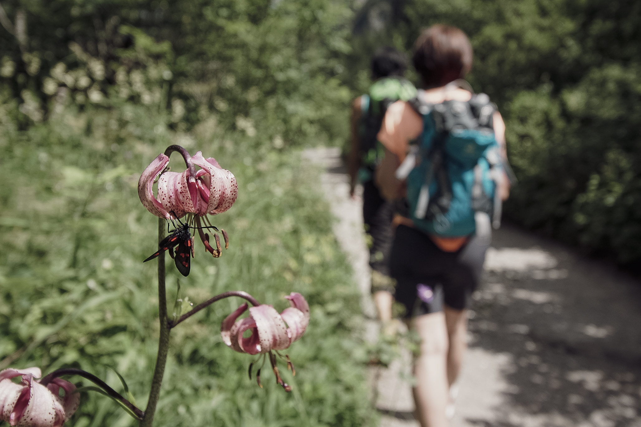 Wanderer am Lechweg