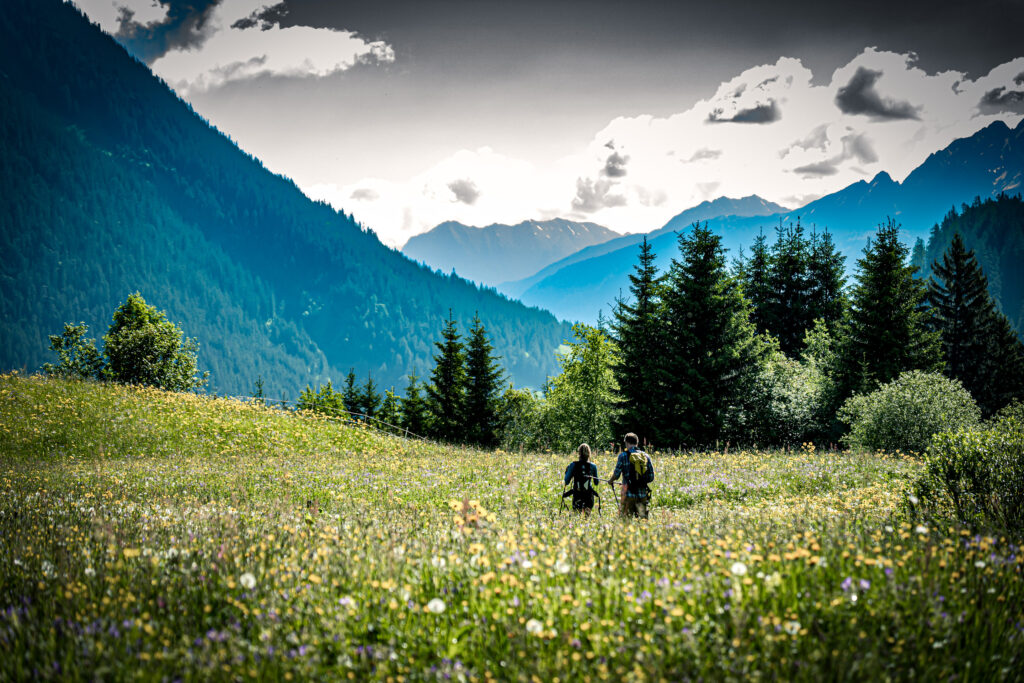HAuserei Alpenpanorama